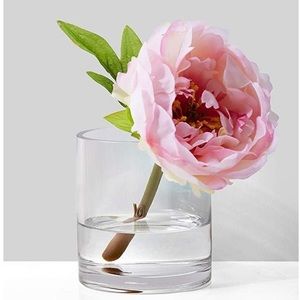 Clear Glass Cylinder Vase Candleholder Flower Vase Glass Cylinder Vase 5” by 5”